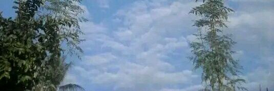 ManfaatCahaya banner