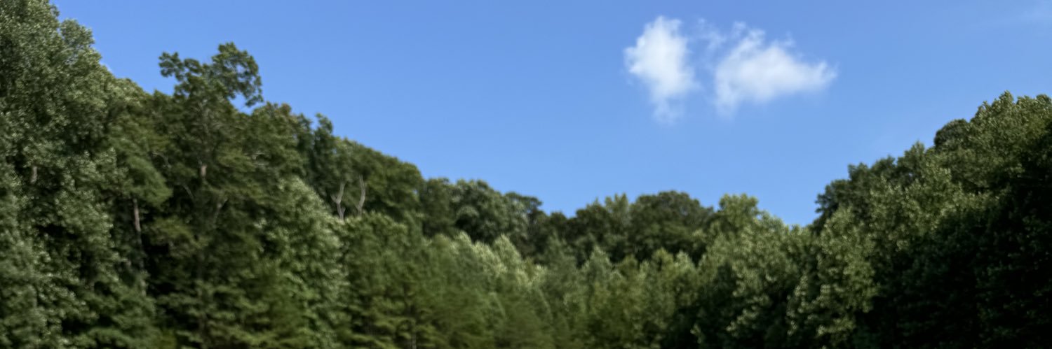 brandtransfer's profile banner image