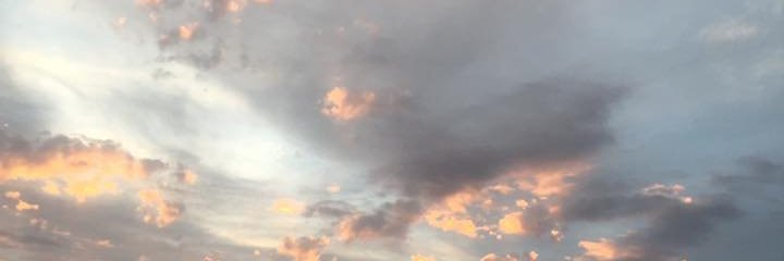 FOSTERKAT's profile banner image
