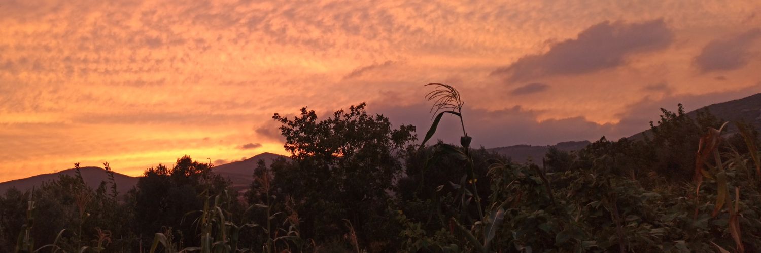 zehranursakin's profile banner image