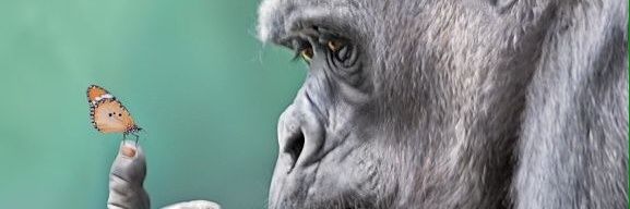 Ryanzulhakim's profile banner image