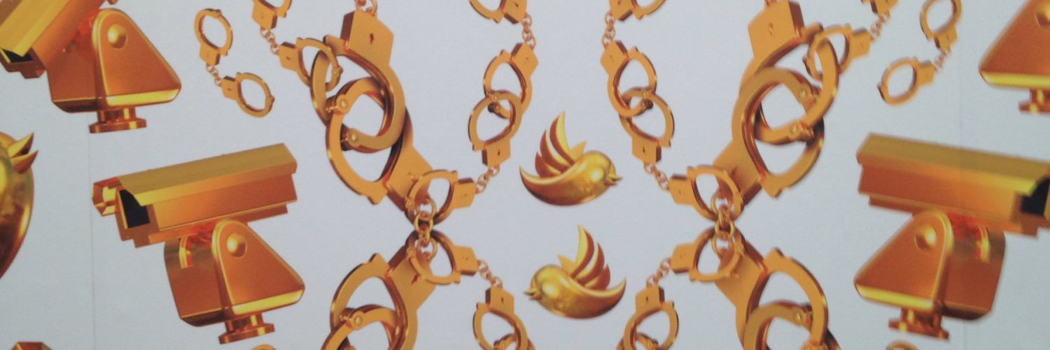 Issy Zimmerman banner