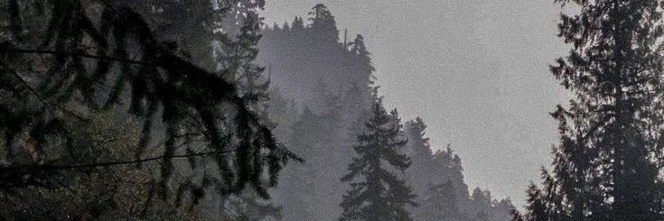 sant banner