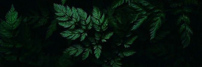 BayronKane's profile banner image