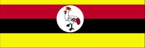 Kabunga_keneth's profile banner image