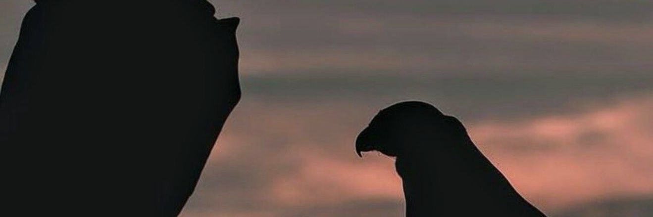 ammzmt's profile banner image
