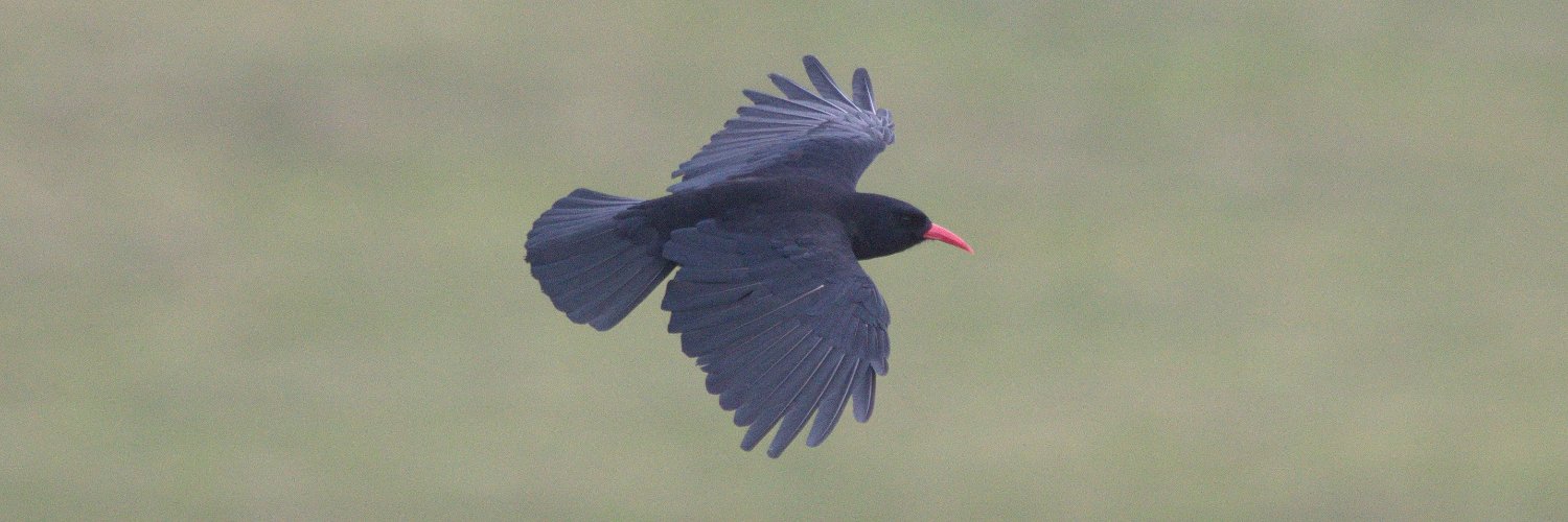 Dr Callum Macgregor banner