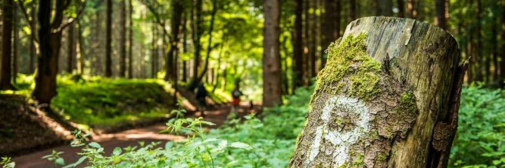 NeoNick 🇩🇪 banner