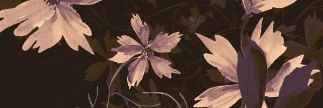 vacbdac's profile banner image