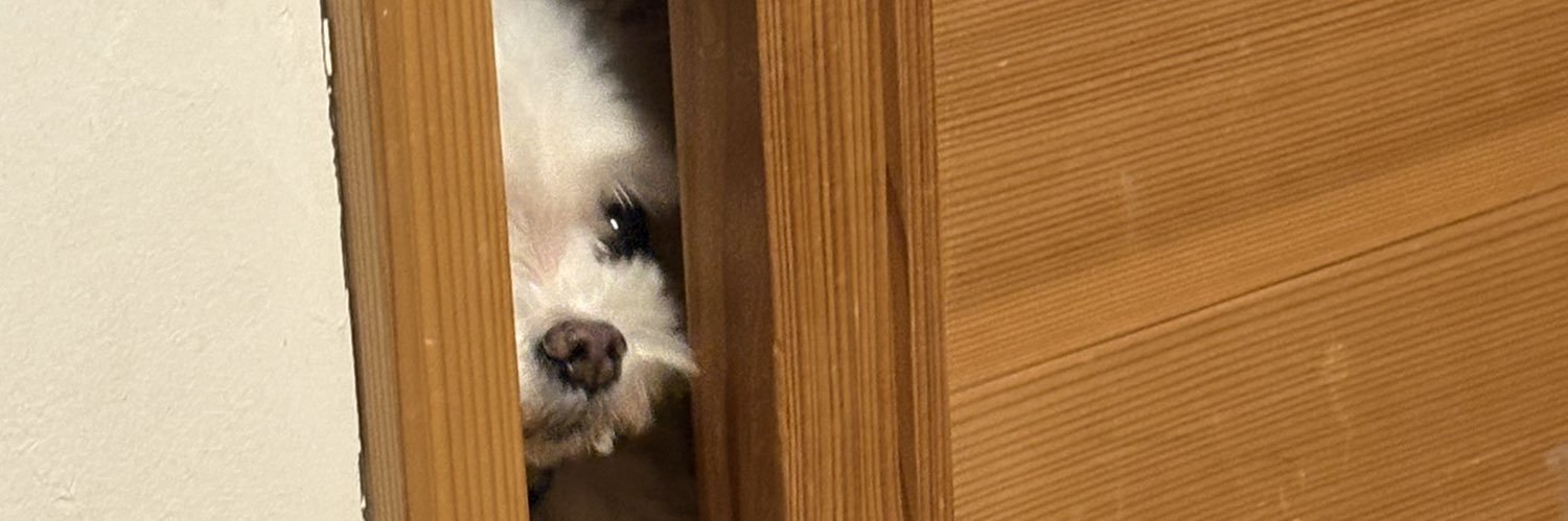 こうげつ_こげ banner