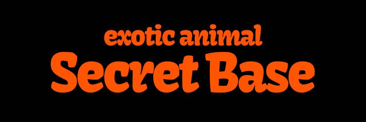 SecretBase banner