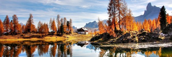 ZentraleV Profile Banner