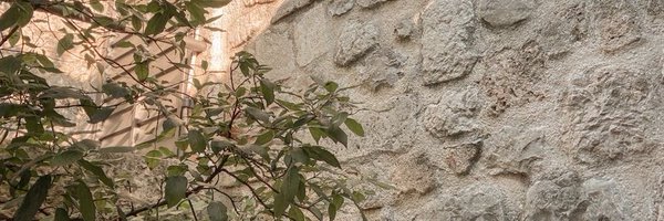 tmdalbit Profile Banner