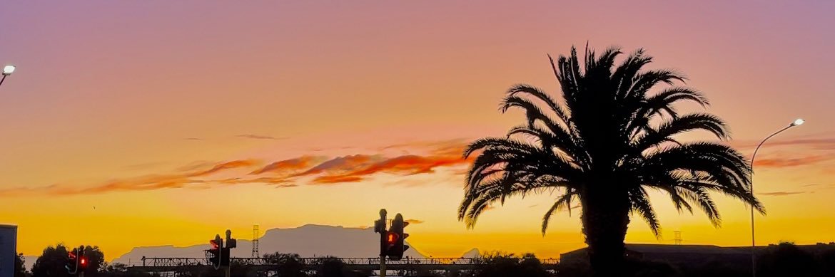 ms___mo's profile banner image