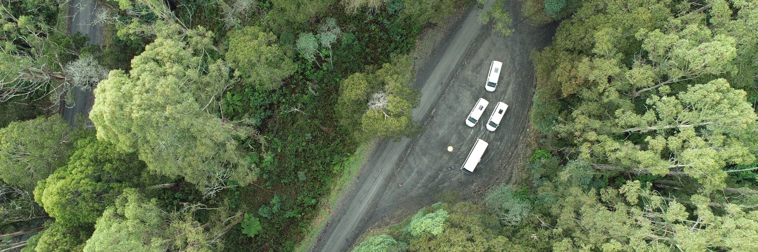 Sabrina Sayers banner