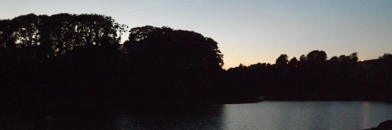 itsamerrickle's profile banner image