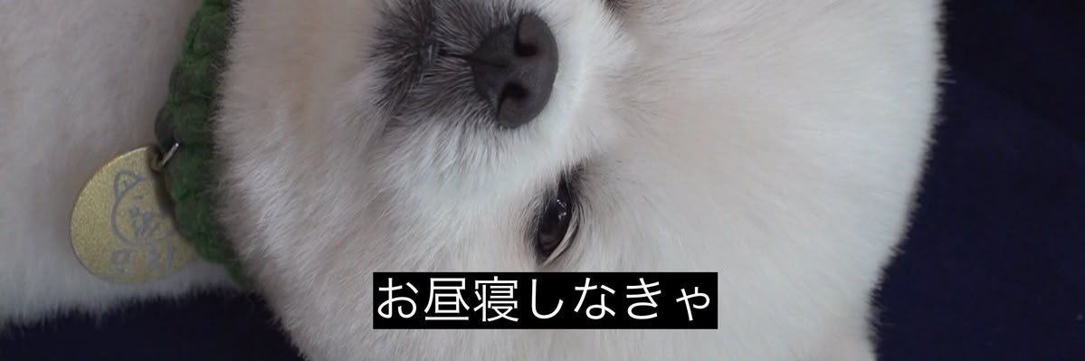 ◜. ̫.◝ banner