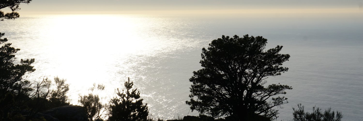 Luis C. Cardenay banner