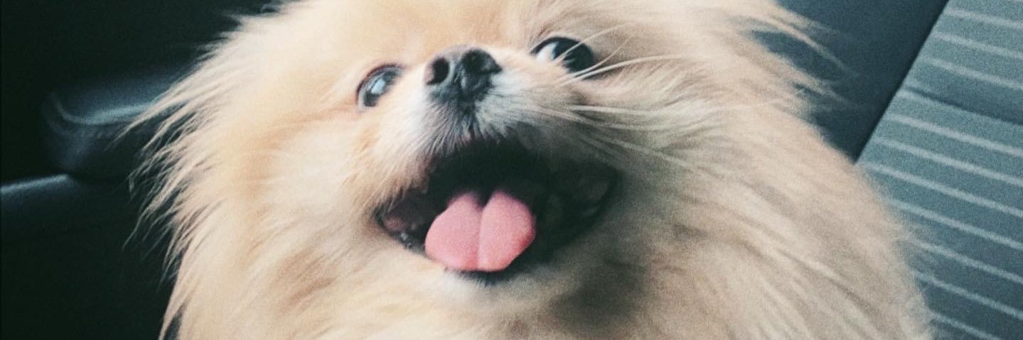 luferle_93's profile banner image