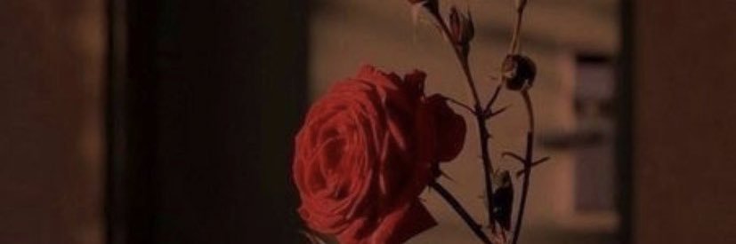 __haz3l's profile banner image