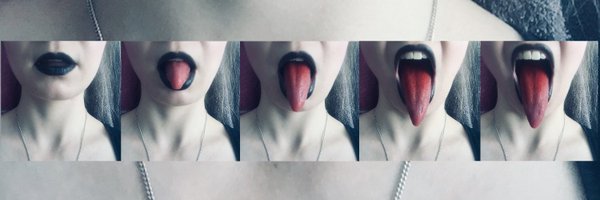 CarnivoraCC Profile Banner