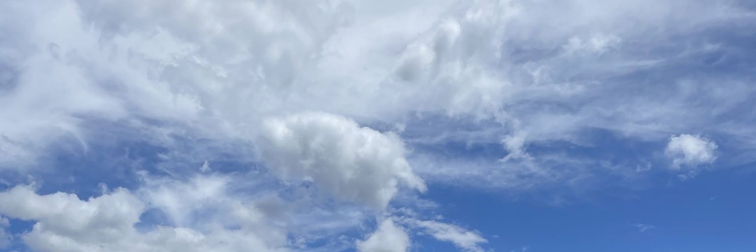 Ai banner