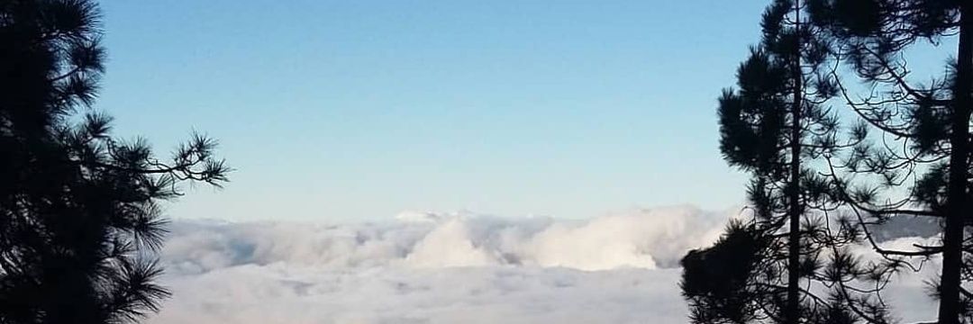 makamp81's profile banner image