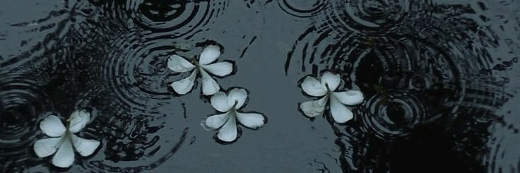 riaaayh's profile banner image