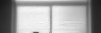 MelissaRayleign877 banner