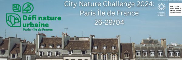 CncParisIDF Profile Banner