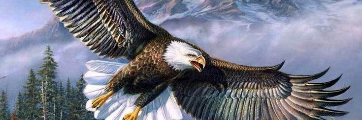 TestSerac's profile banner image