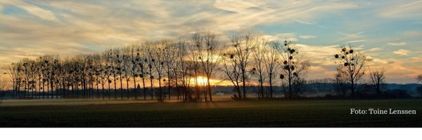 MAASMECHELEN Profile Banner