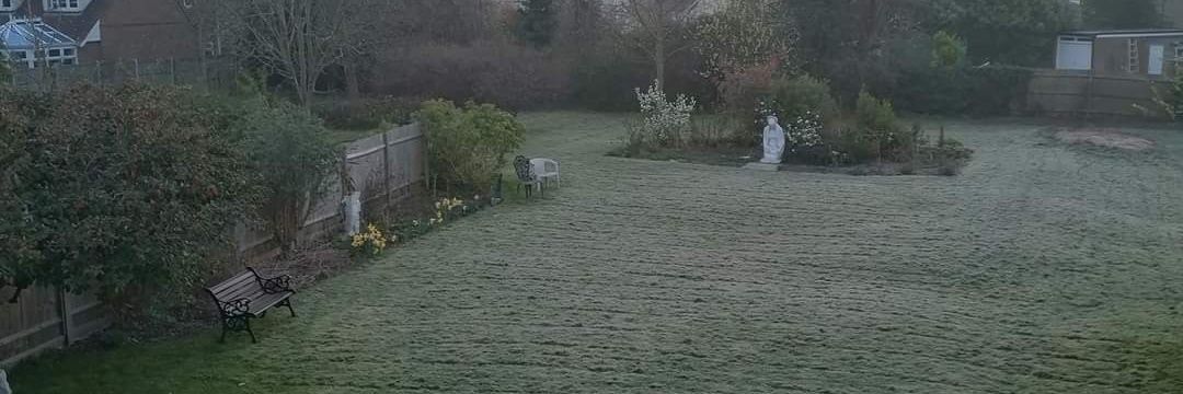 What Good News banner