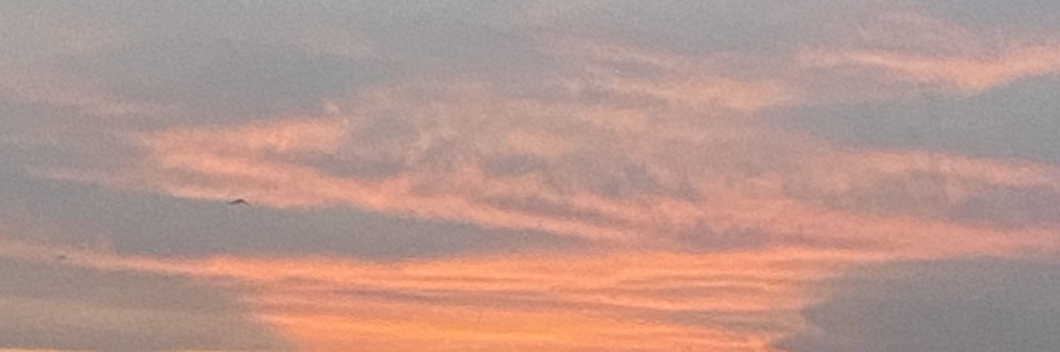 tttreex20's profile banner image