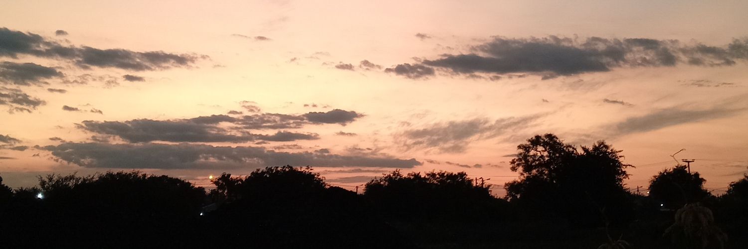 altamiranoocami's profile banner image