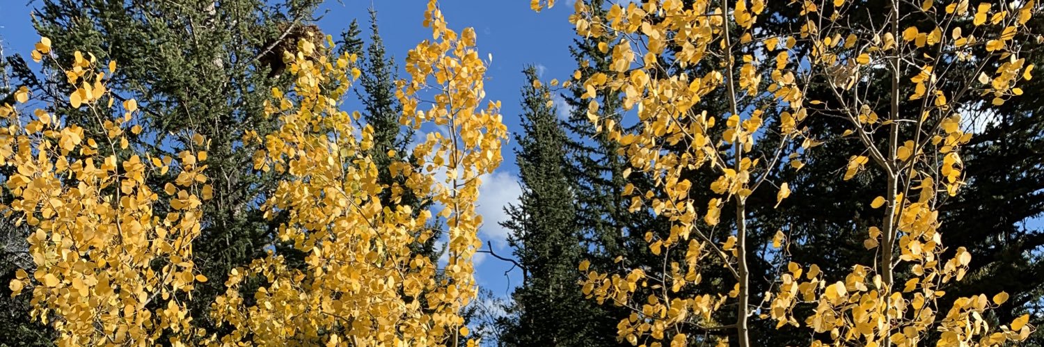 chadrmcdaniel banner