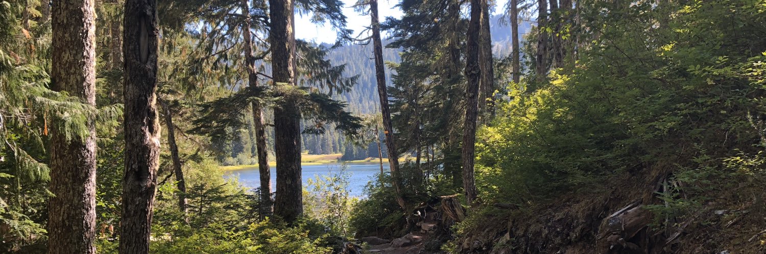 Richard Priem banner