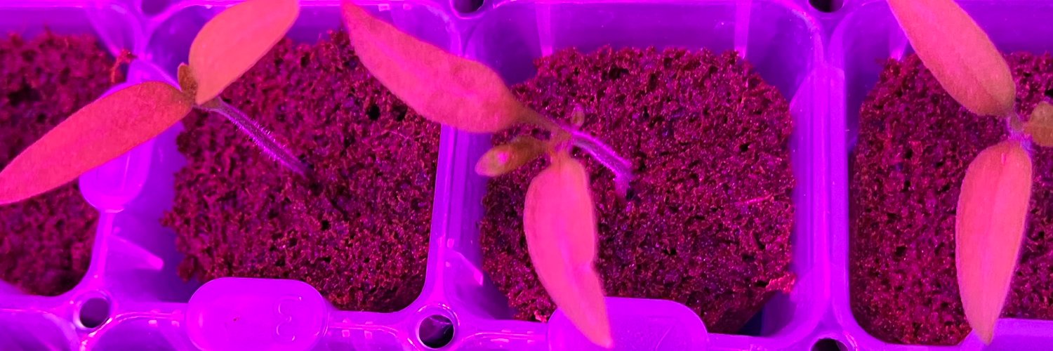 Clean Harvest Farms banner