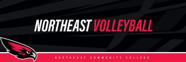 Northeast Volleyball Profile Banner