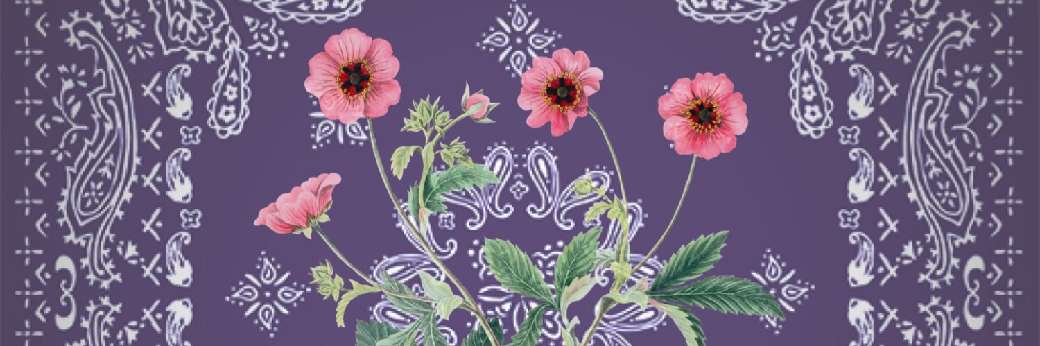 KKinosh's banner