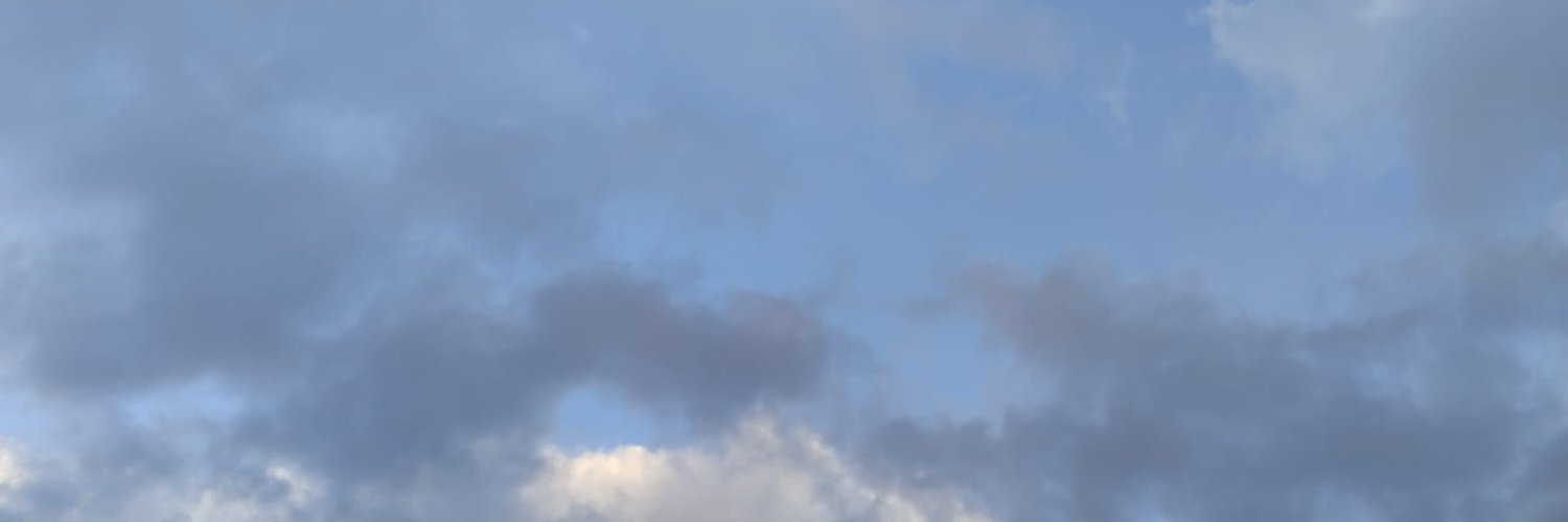 🕊️'s banner