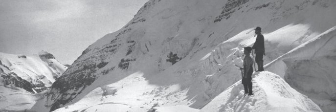 SwissVillageNFT's profile banner image