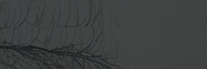 d_aslan0368's profile banner image