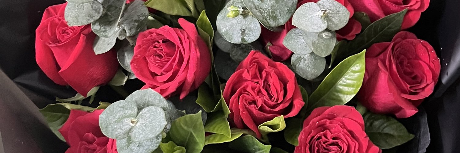 RosPaule's profile banner image