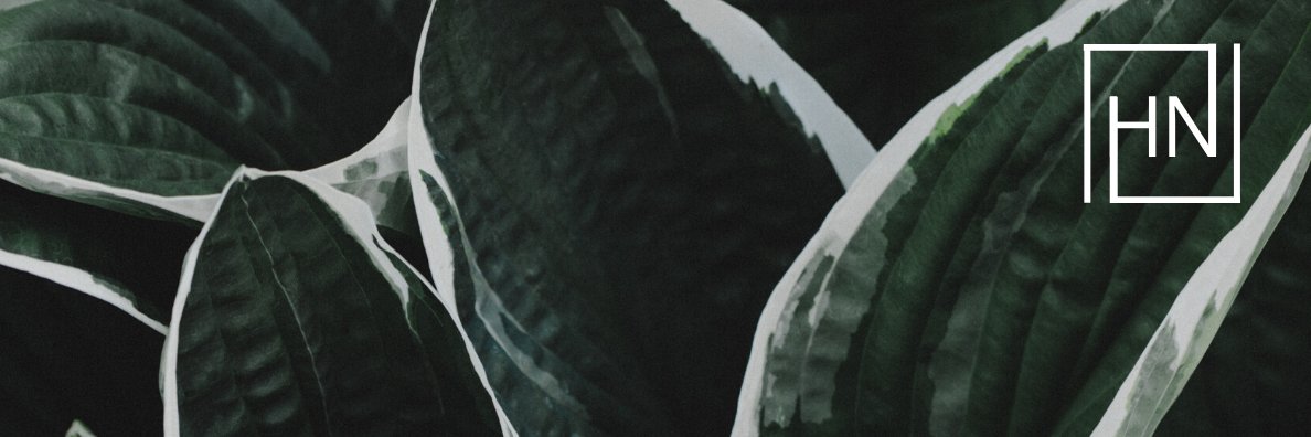 Haley Nininger banner