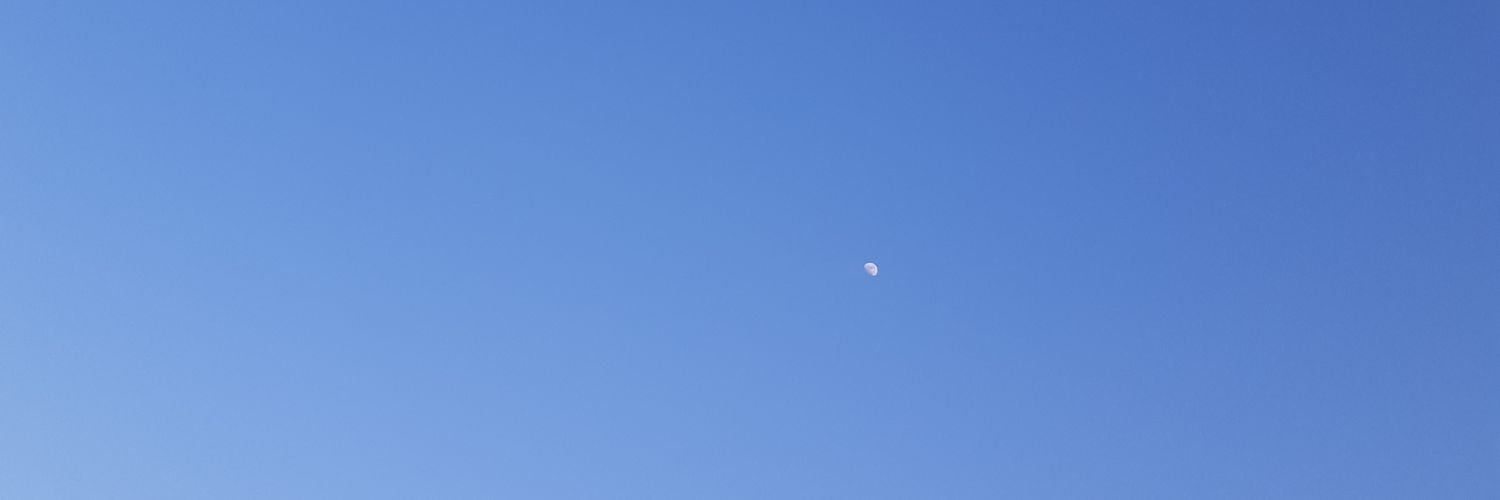 stefoonny's profile banner image