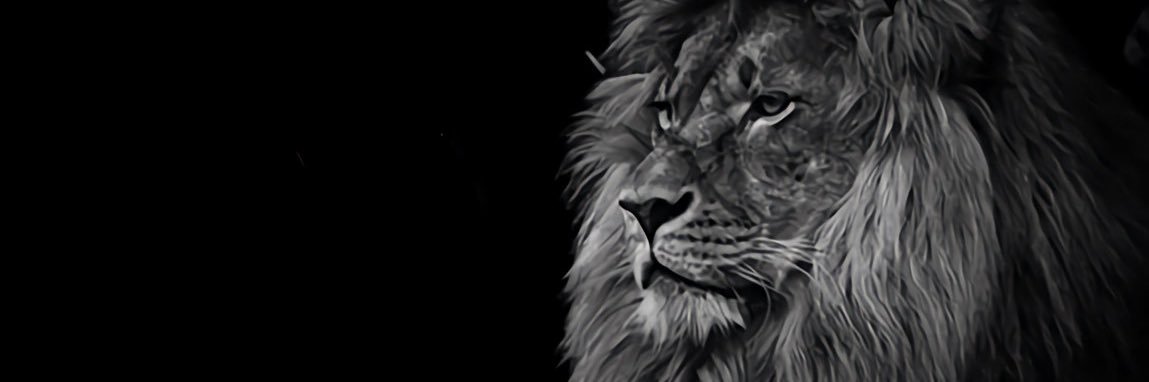 MahmutSevgiYA's profile banner image