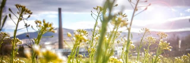 Victoria García banner