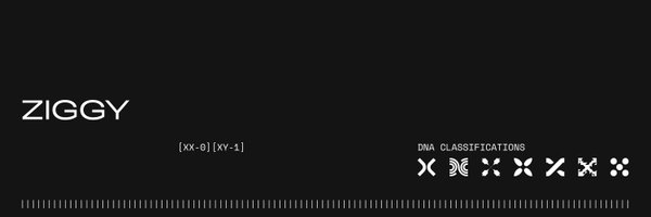 Zi99yS Profile Banner