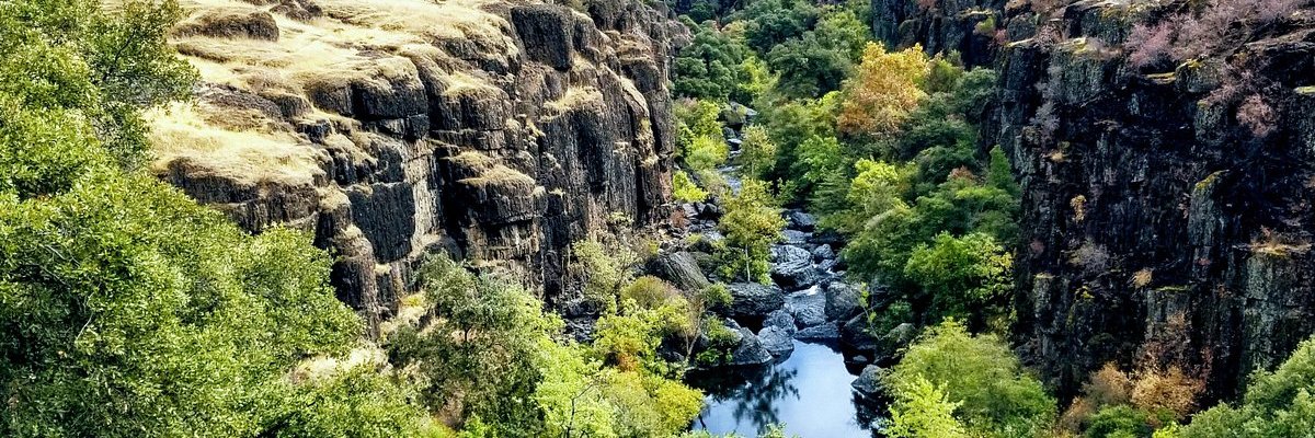 Progressing California banner